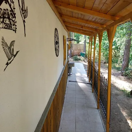V Lese Сasa de vacaciones Olbramkostel