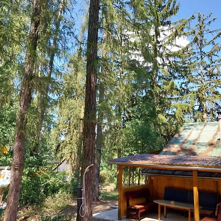 Holiday home V Lese Olbramkostel